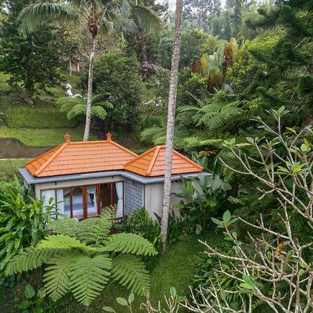 Tjendana Kanaka Jungle Resort Ubud المظهر الخارجي الصورة